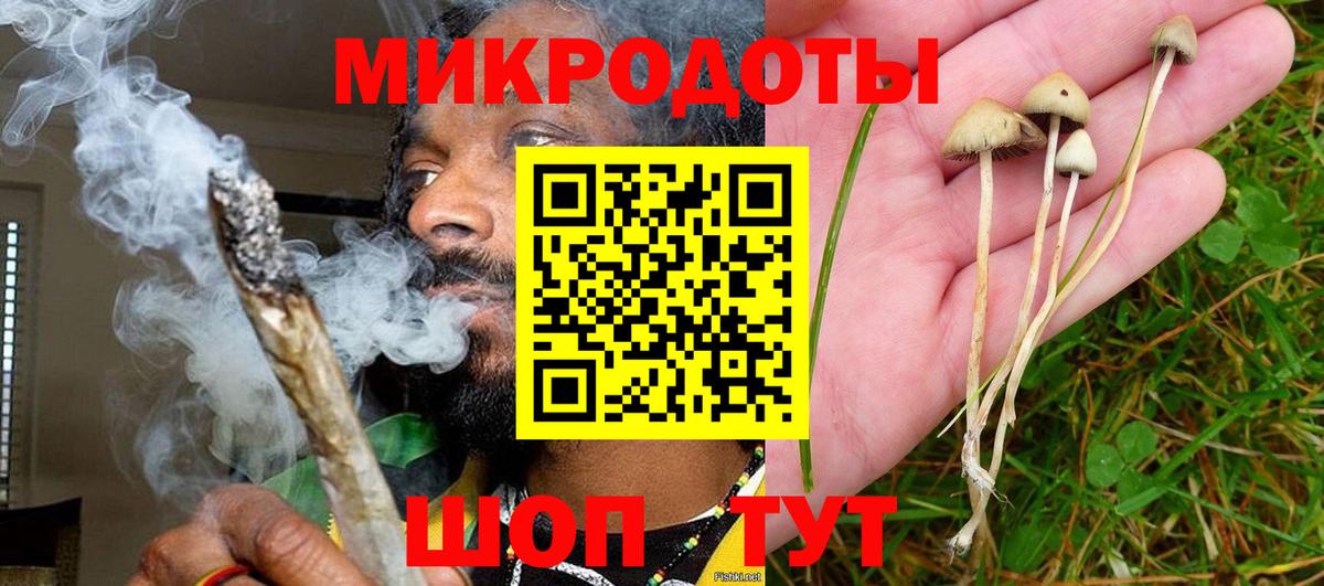 Соликамск  Псилоцибиновые грибы мицелий  Вход с VPN 